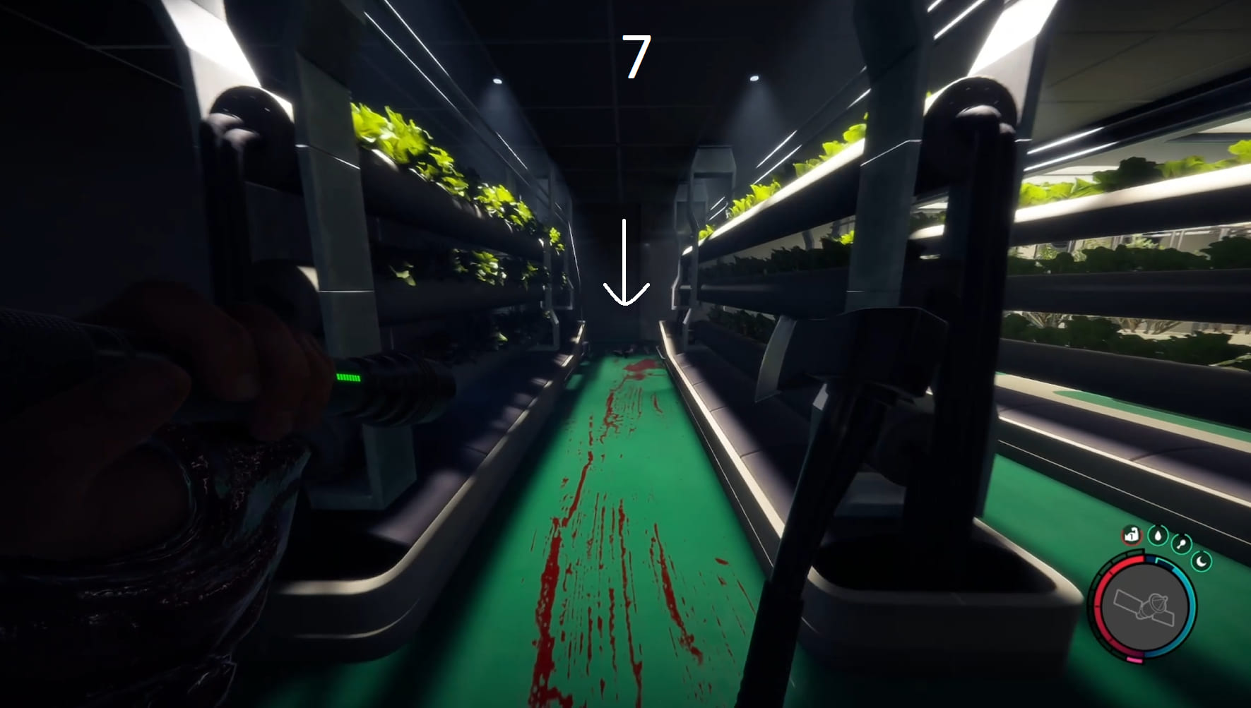 Image 7: How to find crossbow
